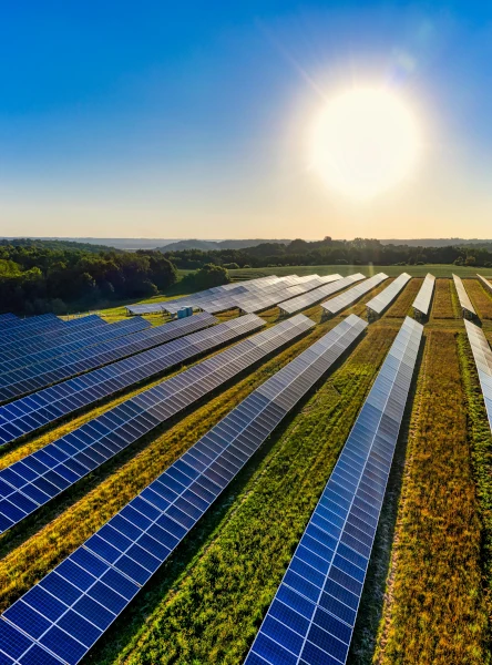 A solar farm on a sunny day