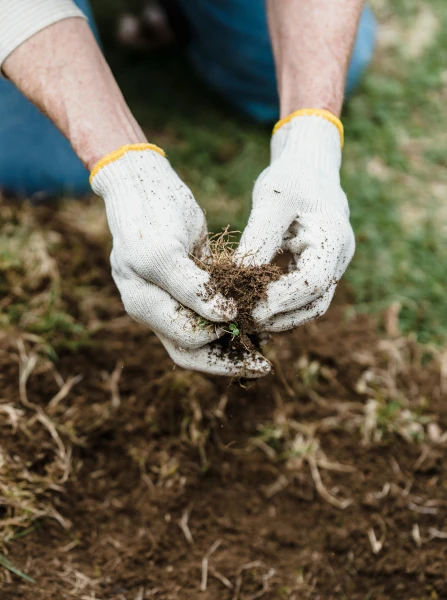 A person inspecting soil
